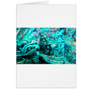 Détails de la coquille d'ormeau turquoise