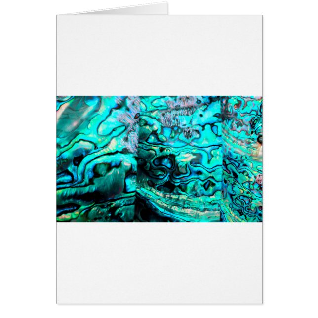 Détails de la coquille d'ormeau turquoise (Devant)