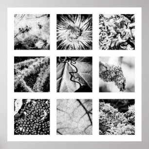 Détails de la série Nature - Détails Poster