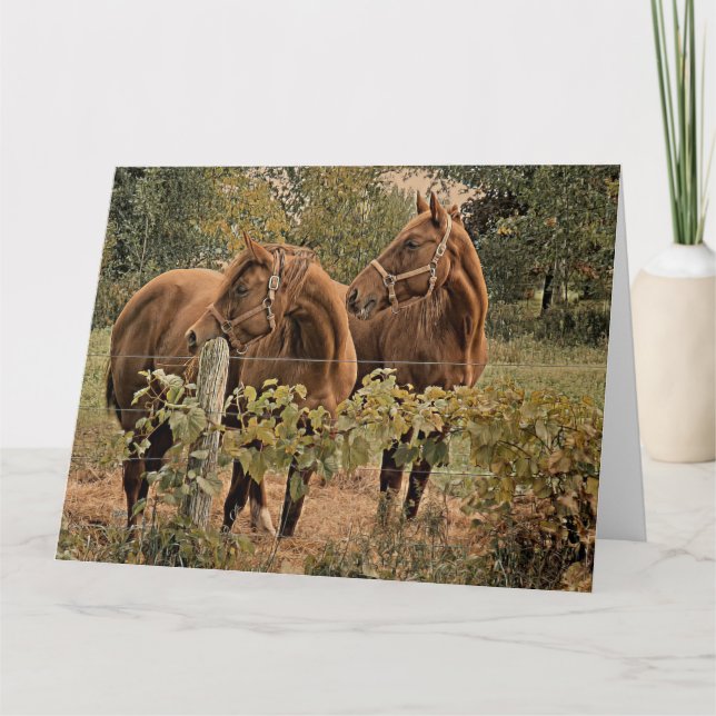 Deux beaux chevaux - Bonne carte d'anniversaire (Devant)