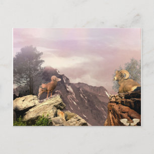 Deux béliers dans la haute carte postale