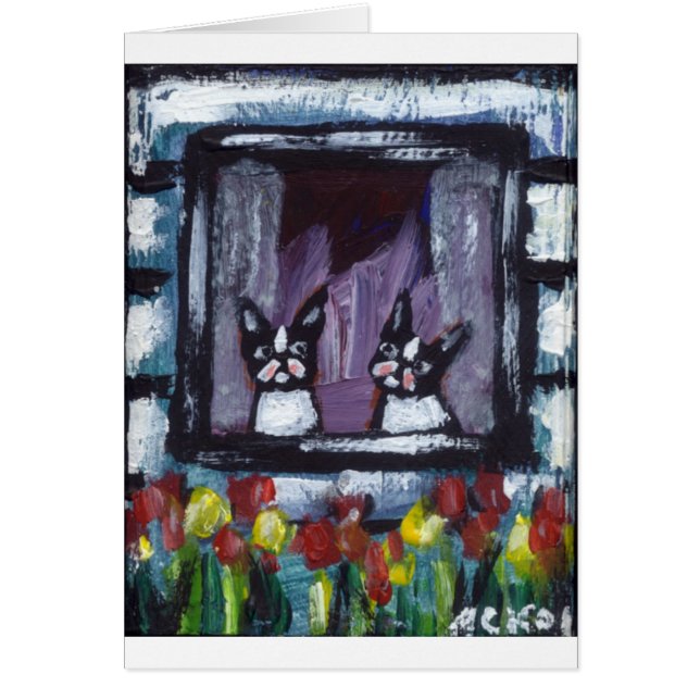 deux bostons dans la fenêtre (Devant)