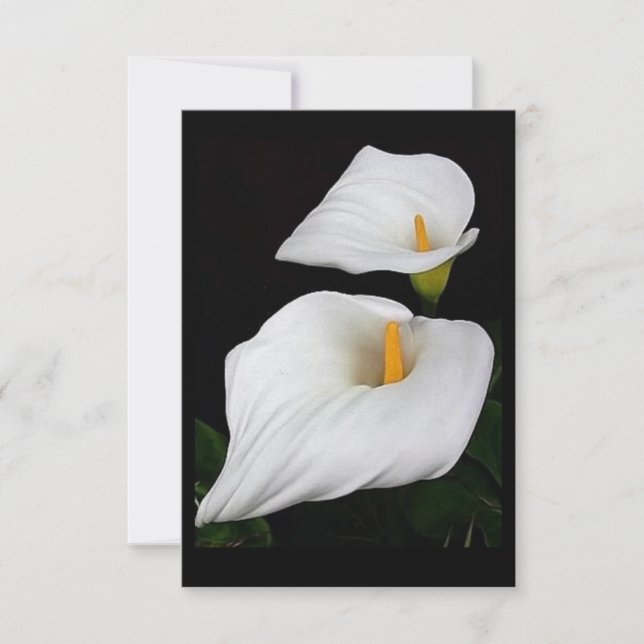 Deux Calla Lilies #9 (Devant)