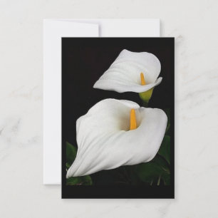 Deux Calla Lilies #9