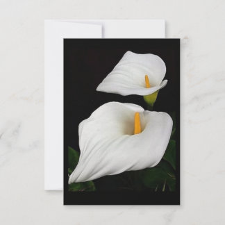 Deux Calla Lilies #9