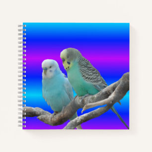 Deux Carnet Bute Budgerigar