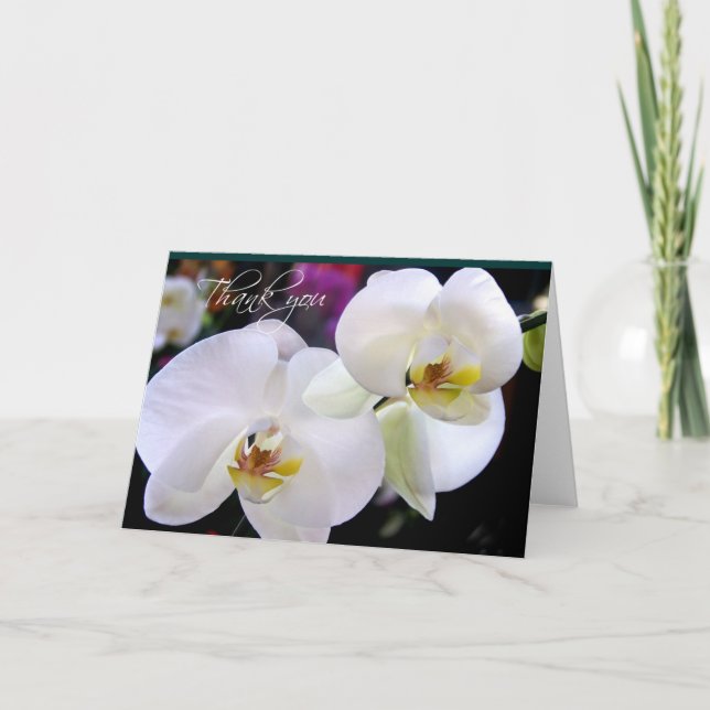 Deux cartes de remerciement pour l'orchidée (Devant)