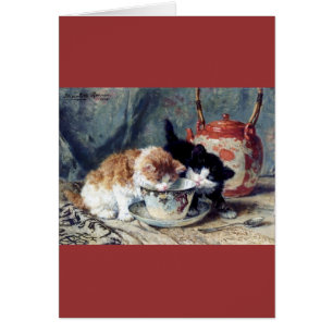 Deux chatons ayant le thé