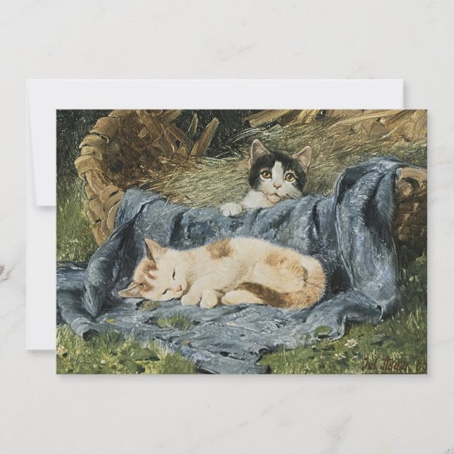 Deux chatons | Julius Adam le Jeune (Devant)
