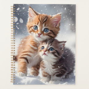 Deux chatons Tabby Jouer en hiver de neige