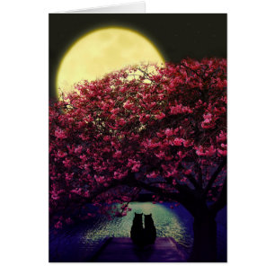 Deux chats admirant le clair de lune