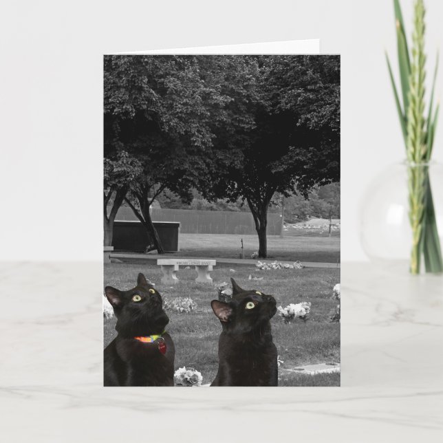 Deux chats noirs dans le cimetière Carte de voeux  (Devant)