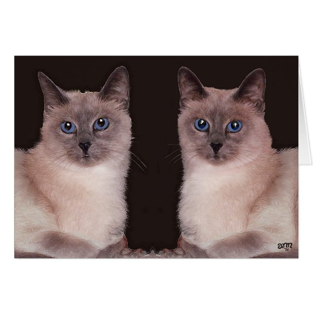 Deux chats siamois (Devant horizontal)