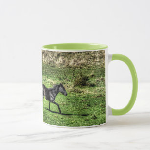 Deux Chevaux De Ranch Joueurs Photo Mug