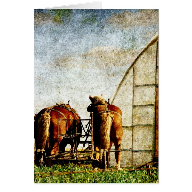 Deux Chevaux Prêts Pour Le Travail (Devant)