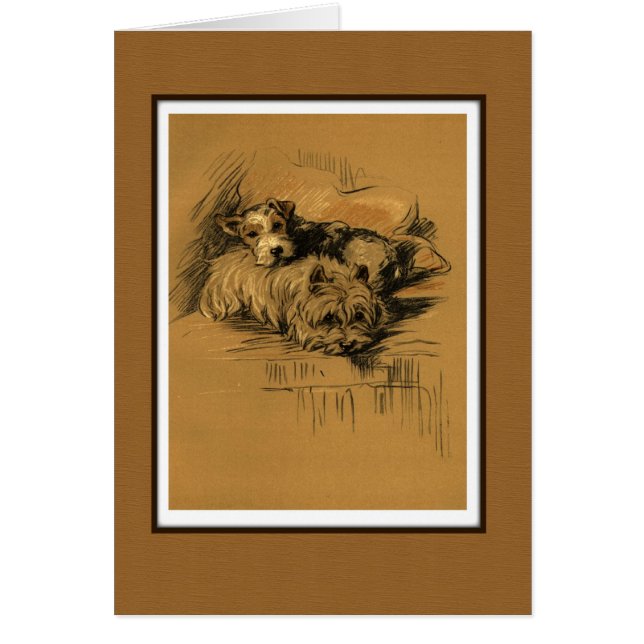 Deux Chiens Terrier Qui Se Cuisinent (Devant)