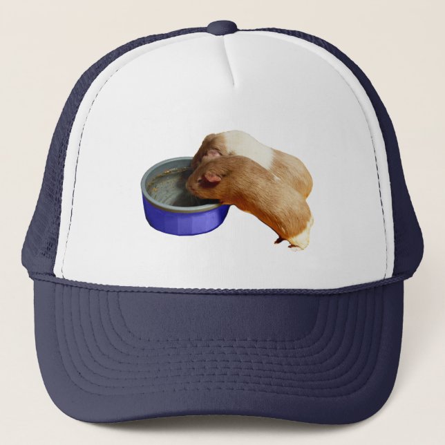 Deux Cochons De Guinée Brown Et Blancs, Casquette  (Devant)