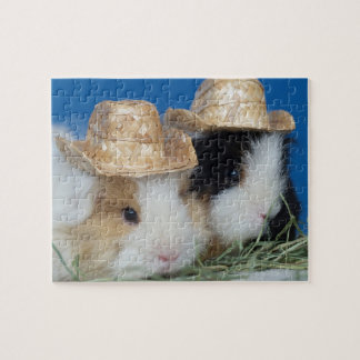 Deux cochons d'Inde mignons puzzle
