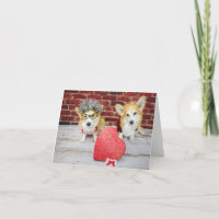 Deux Corgis avec carte de vœux de la Saint-Valenti