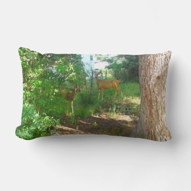 Deux Coussins de cerfs (Recto)