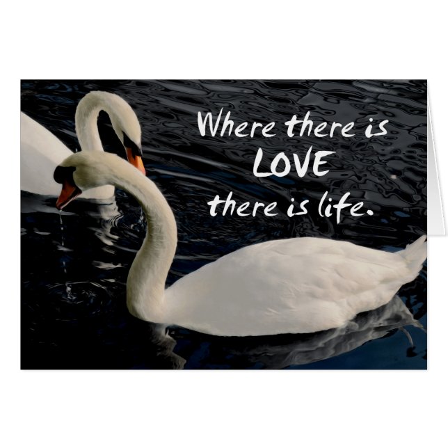 Deux cygnes sur le lac (Devant horizontal)