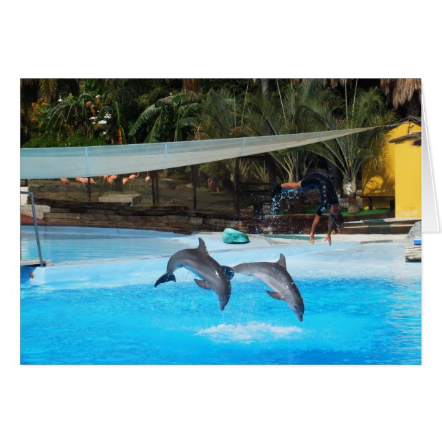 Deux dauphins (Devant horizontal)