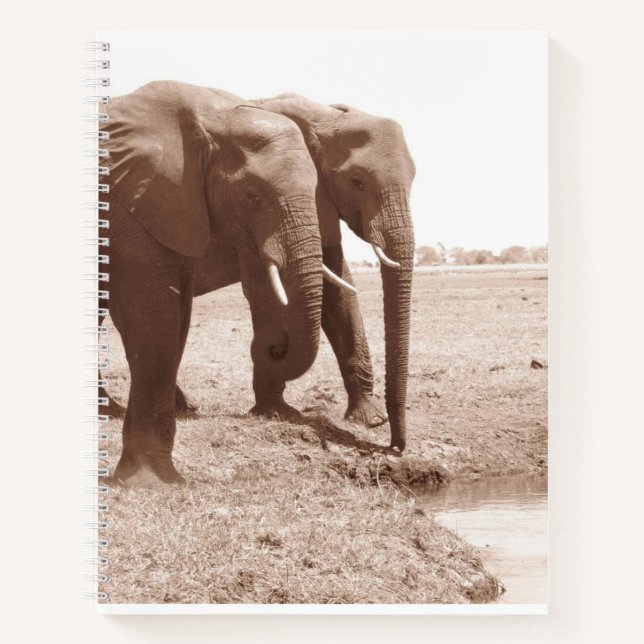 Deux Elephant Spiral Carnet College Règle (Devant)