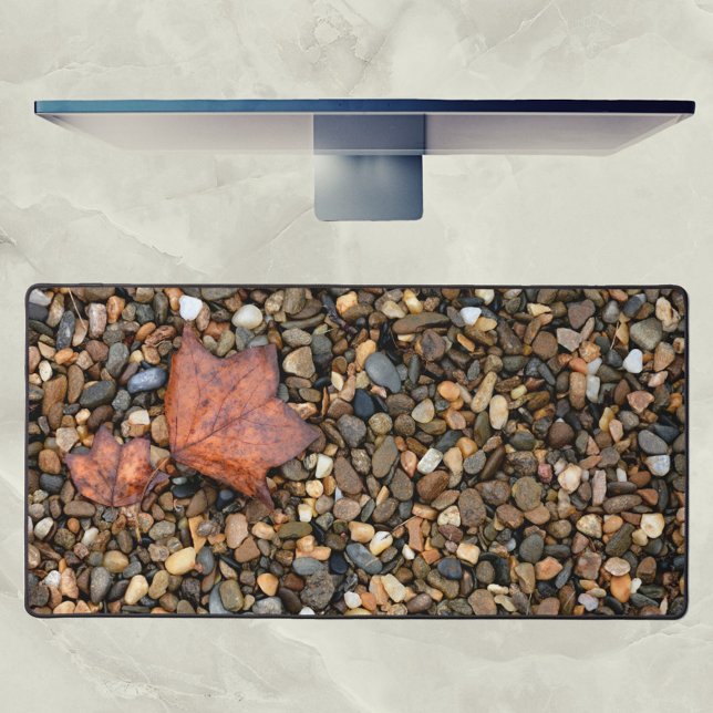 Deux Feuilles tombés sur des galets humides Photog (Créateur téléchargé)