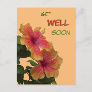 Deux fleurs d'hibiscus orange Carte postale "Promp