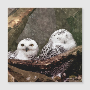 Deux hiboux