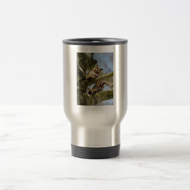 Deux hiboux dans les bois, oiseaux, faune Tasse de (Centre)
