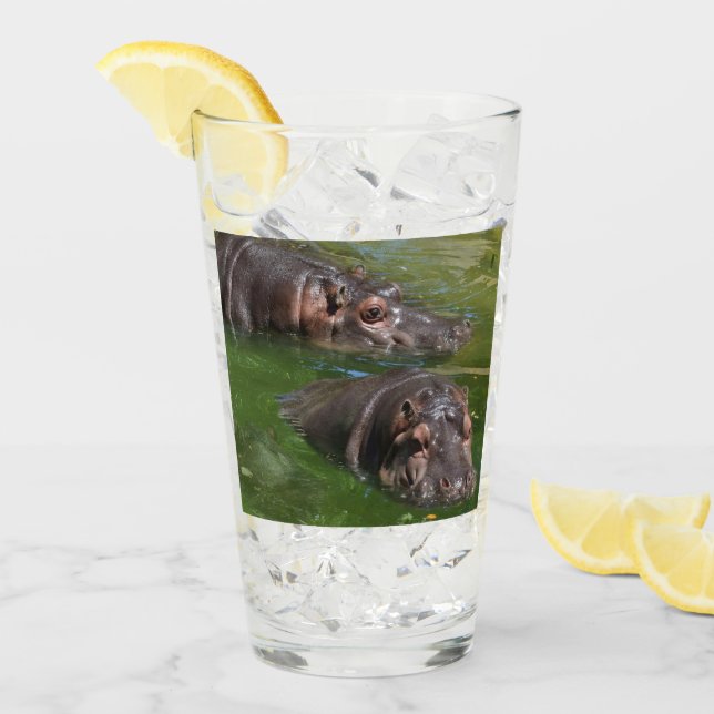 Deux Hippopotames Dans Un Étang, Boire Du Verre (Devant glace)