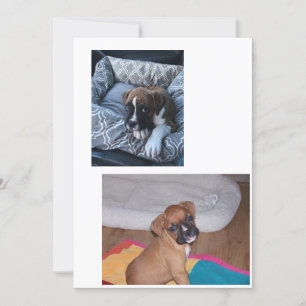 deux images une non forcée une est forcée