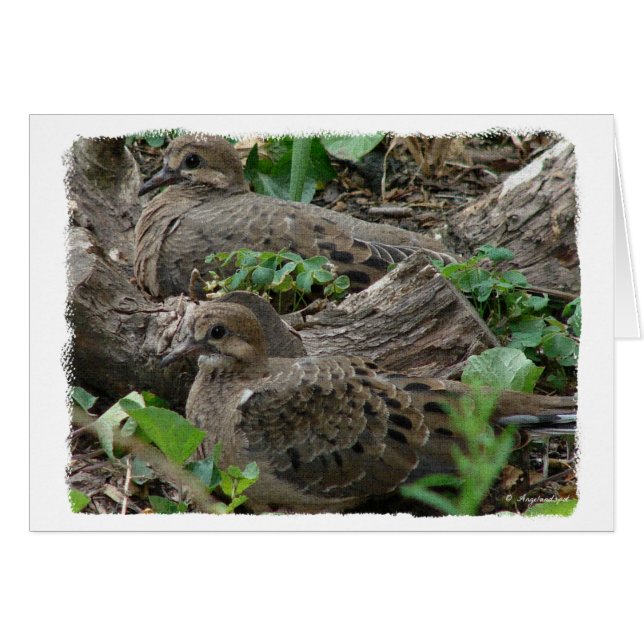 Deux jeunes filles (Devant horizontal)