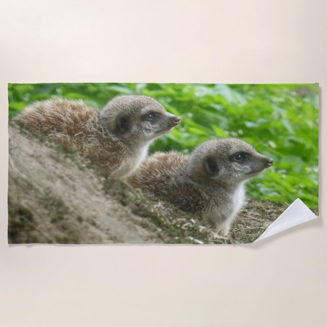 Deux Jolies serviettes de plage Meerkats (Devant)