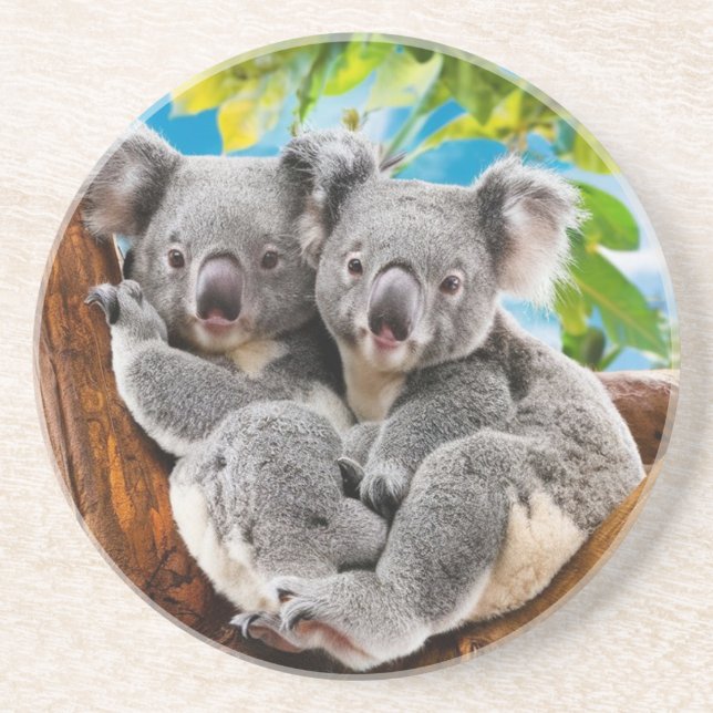 Deux mignons Dessous de verre d'ours Koala (Devant)