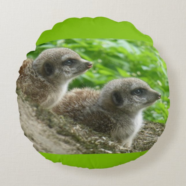 Deux mignons Meerkats Coussin rond (Devant)