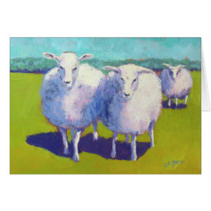 Deux moutons dans le domaine