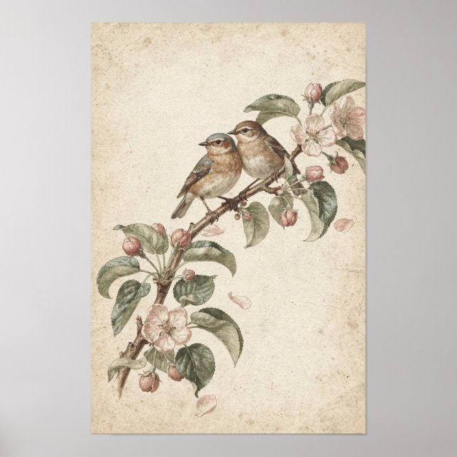 Deux oiseaux chanteurs sur une affiche botanique d (Devant)