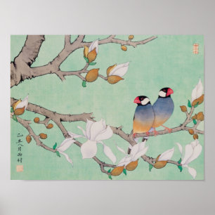 Deux oiseaux dans les Branches Poster