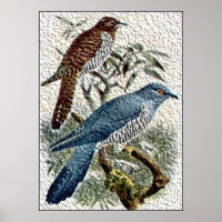 Deux oiseaux de cacao de couleur dans une affiche