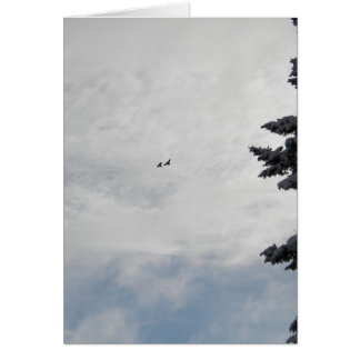 Deux oiseaux volant haut