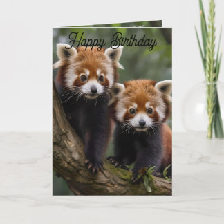 Deux pandas rouges bébé, carte d'anniversaire