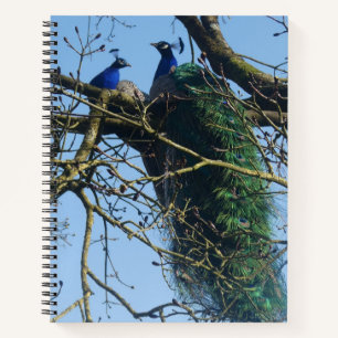 Deux paons dans un cahier d'arbre