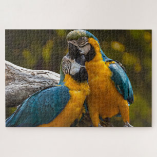 Deux perroquets Puzzle tropical oiseaux