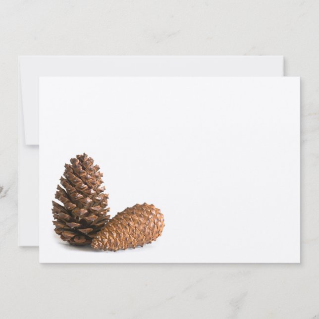 Deux pinecones (Devant)