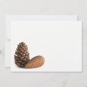Deux pinecones