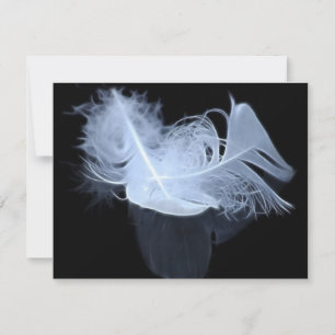 Deux plumes de flamme et réflexion