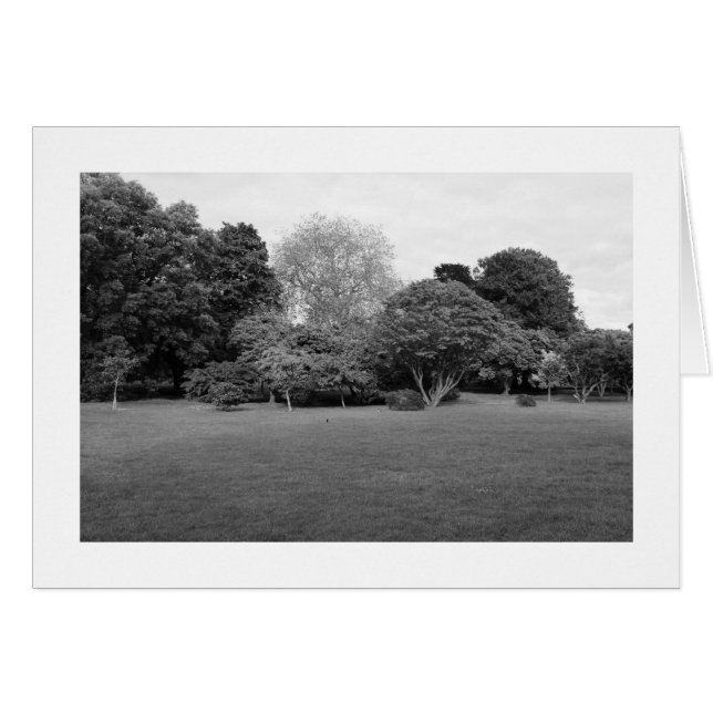 Deux pour Joy (Borders) (Devant horizontal)