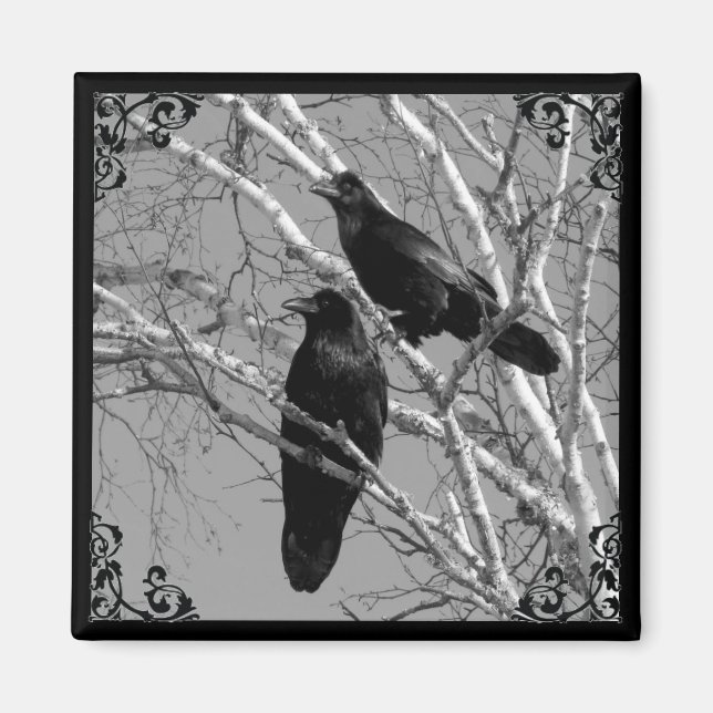 Deux ravens aimant gothique (Devant)